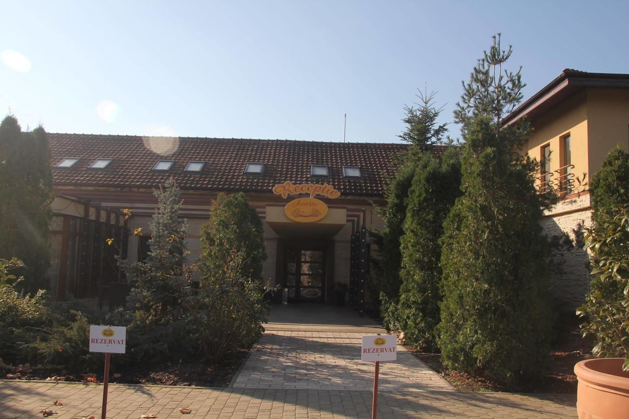 Anette Resort & Spa Covaci Luaran gambar